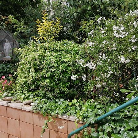 Appartamento Il Giardino Della Nonna Alberobello Esterno foto